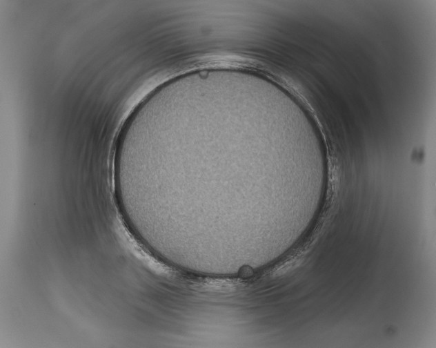 X0000114610843200911171033