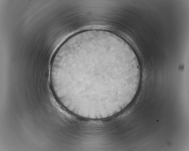 X0000114610844200911171033