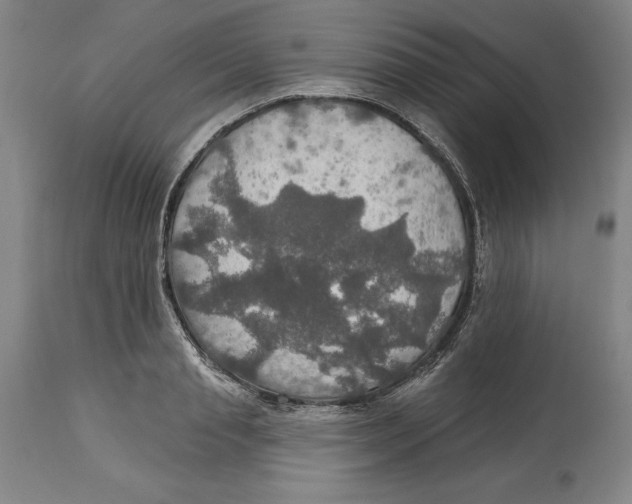 X0000114610845200911171033