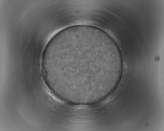 X0000114610846200911171033