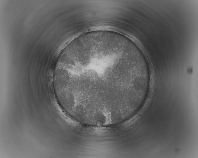 X0000114610849200911171033