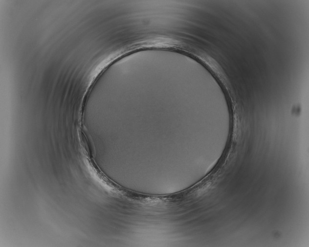 X0000114610850200911171033