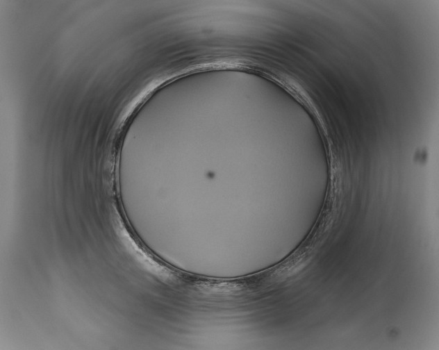 X0000114610851200911171033