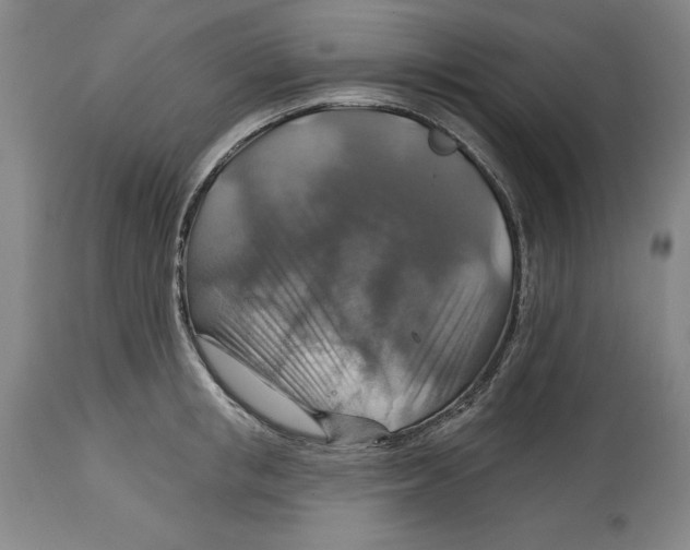 X0000114610853200911171033