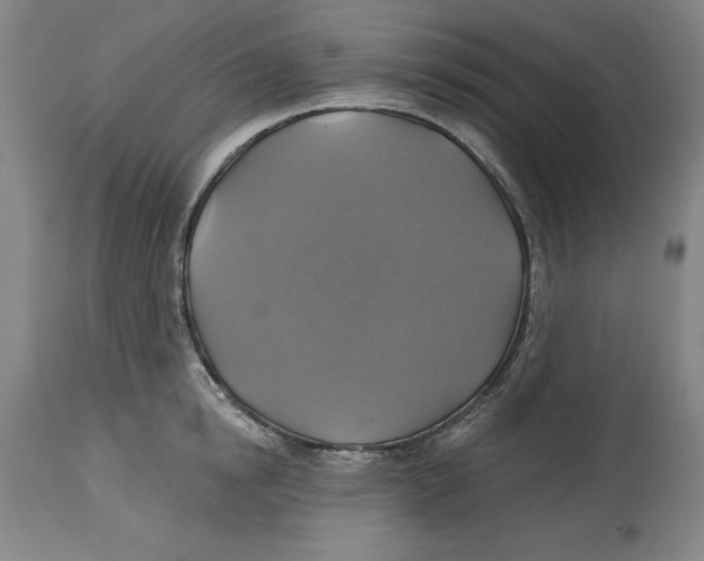 X0000114610854200911171033