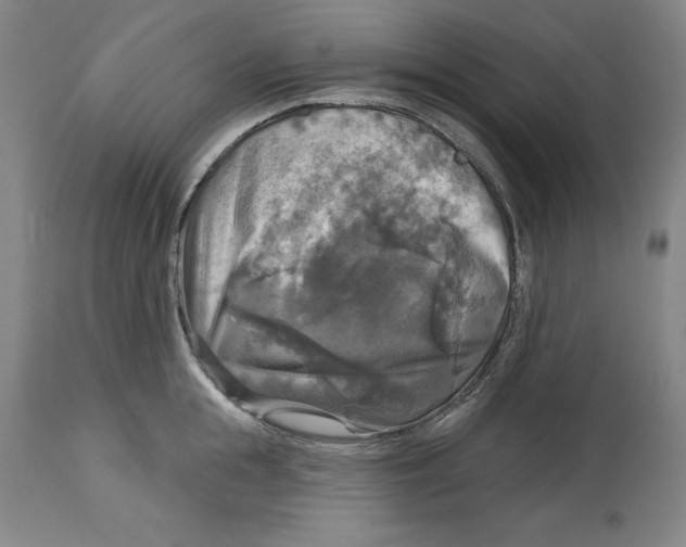 X0000114610855200911171033