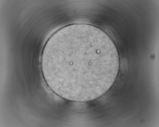 X0000114610856200911171033