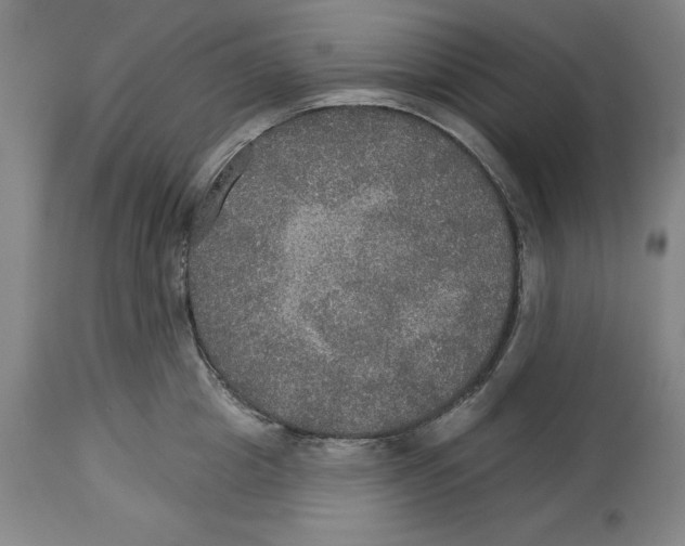 X0000114610857200911171033