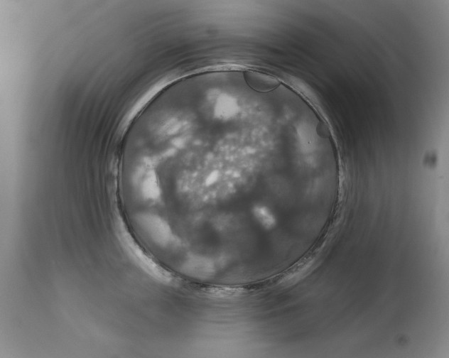 X0000114610859200911171033