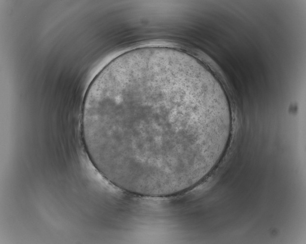 X0000114610860200911171033