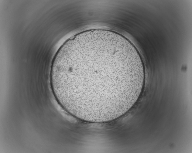 X0000114610861200911171033