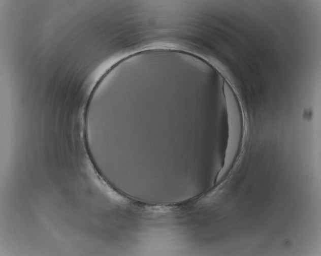 X0000114610862200911171033