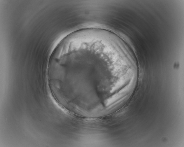 X0000114610863200911171033