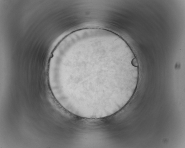 X0000114610864200911171033