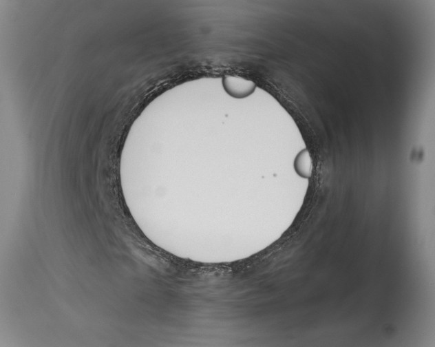 X0000114610865200911171033