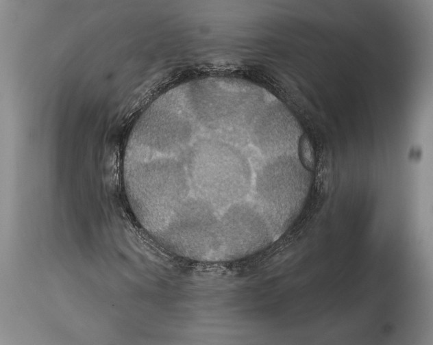 X0000114610866200911171033