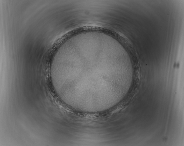 X0000114610870200911171033