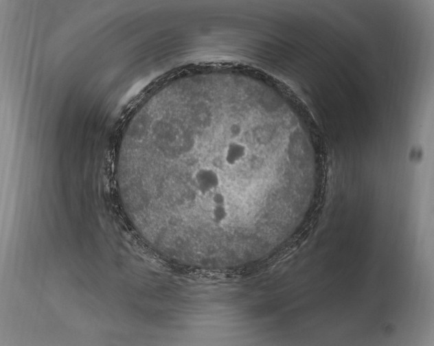 X0000114610871200911171033