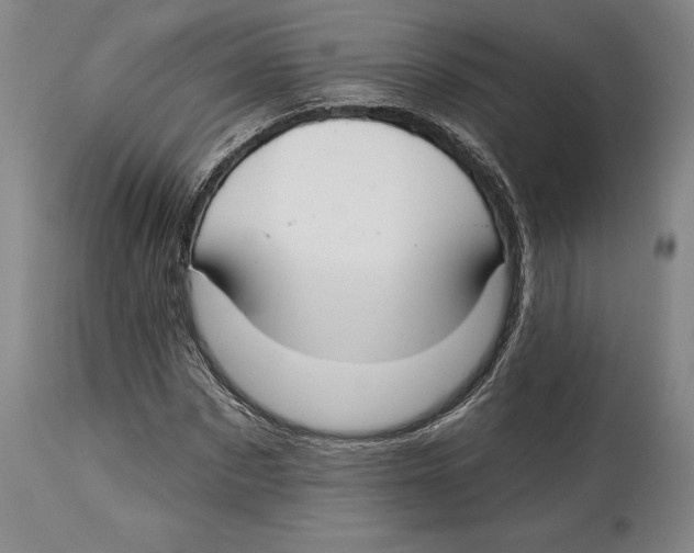 X0000114610873200911171033