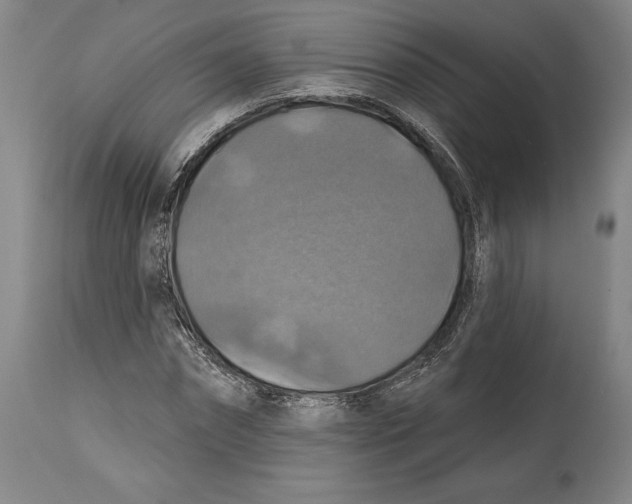 X0000114610874200911171032