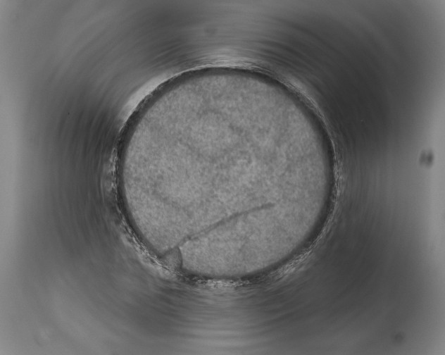 X0000114610875200911171032