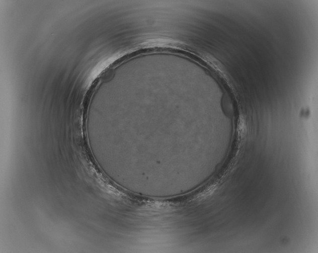 X0000114610877200911171032