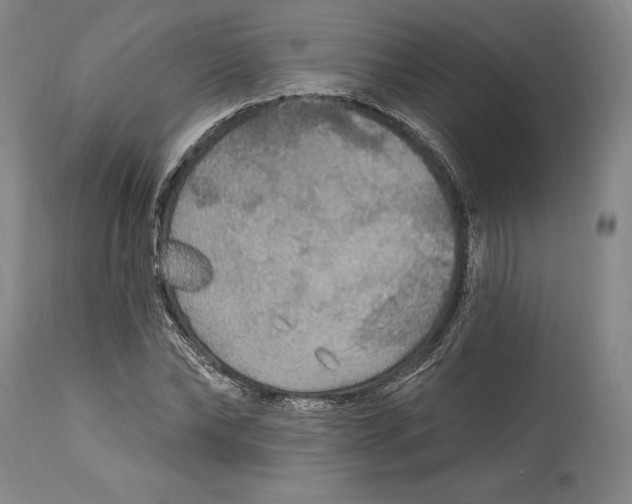 X0000114610878200911171032