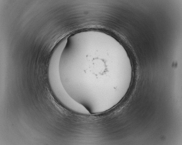 X0000114610881200911171032