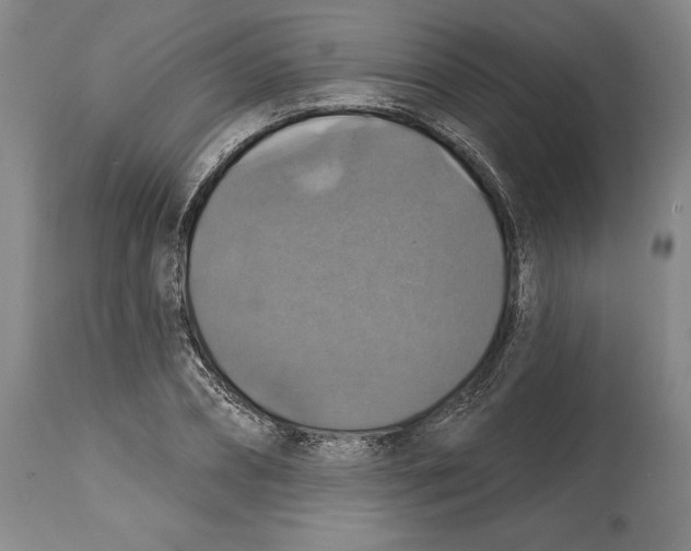 X0000114610882200911171032