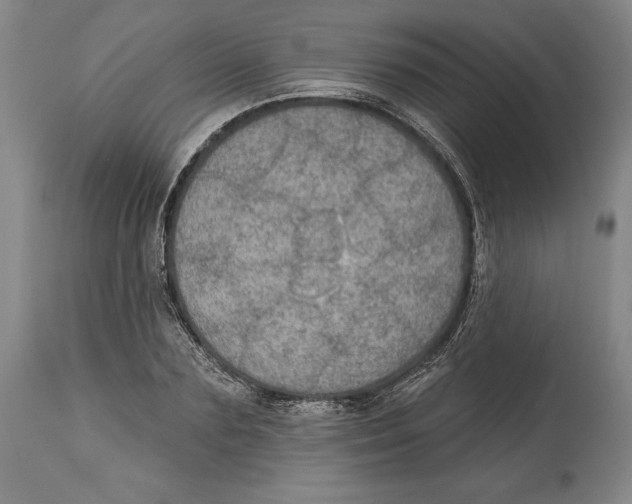 X0000114610883200911171032