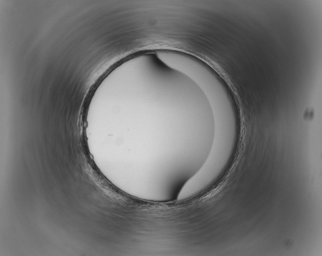 X0000114610885200911171032