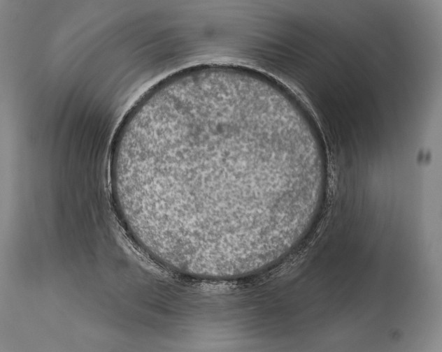 X0000114610887200911171032