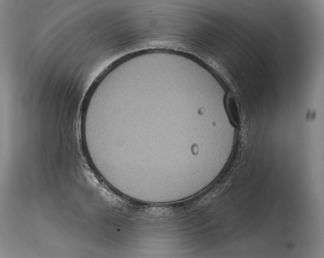 X0000114610888200911171032