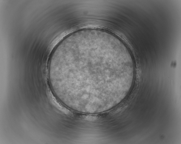 X0000114610890200911171032