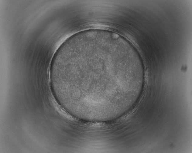 X0000114610891200911171032