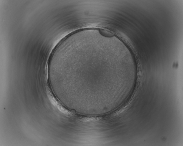 X0000114610892200911171032