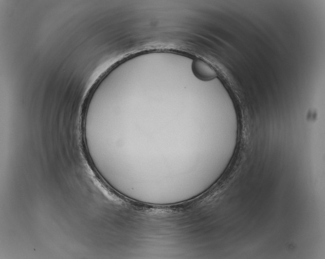 X0000114610894200911171032