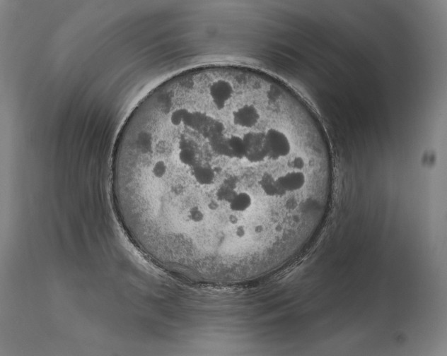 X0000114610895200911171032