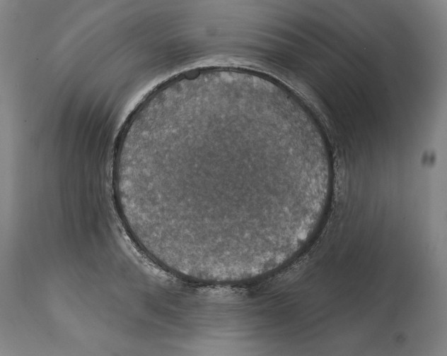 X0000114610896200911171032