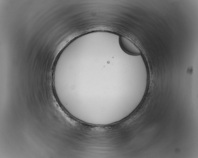 X0000114610898200911171032