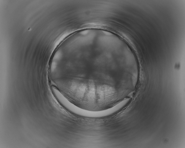 X0000114610899200911171032