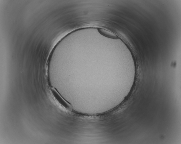 X0000114610900200911171032