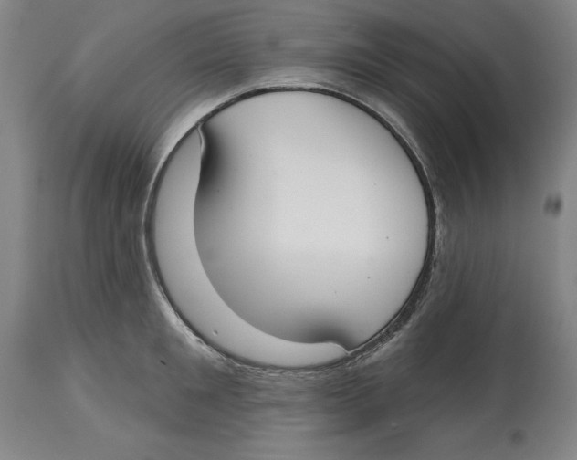 X0000114610901200911171032