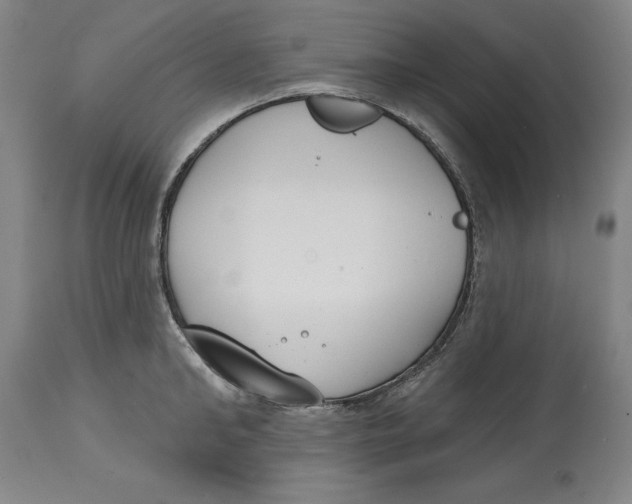 X0000114610902200911171032