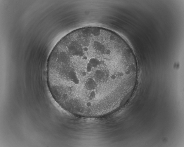 X0000114610903200911171032