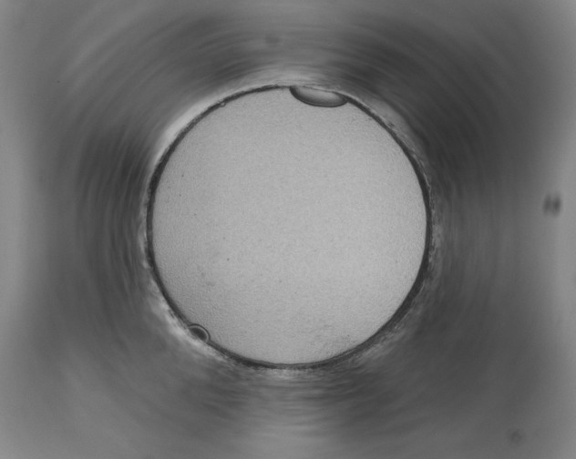 X0000114610904200911171032