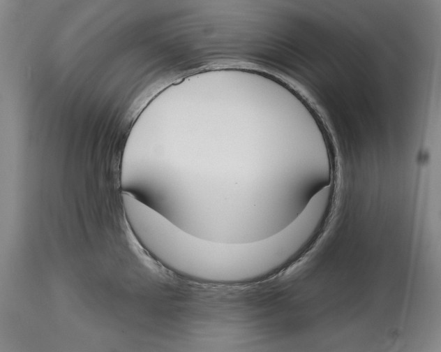 X0000114610905200911171032