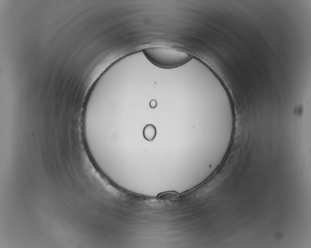 X0000114610906200911171032