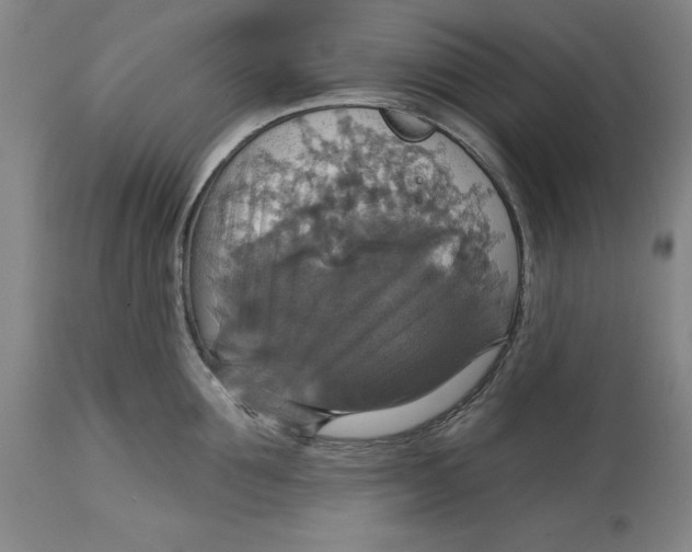 X0000114610907200911171032