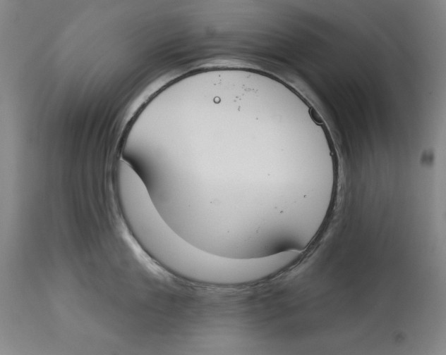 X0000114610909200911171032